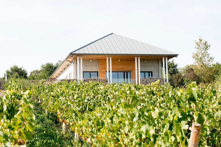 Vignoble Marchais - Le Chai de Thouaré sur Loire