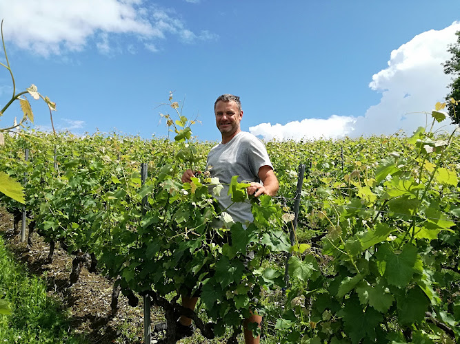 Domaine Saint Cassin
