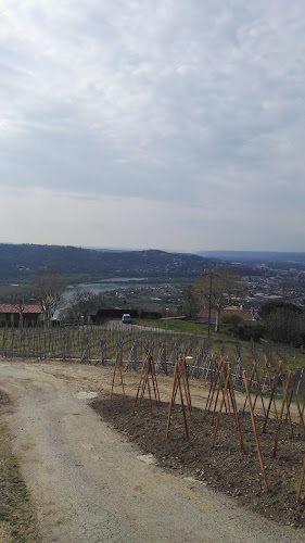 Earl Domaine Degache Freres