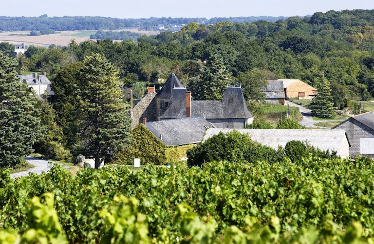 Domaine de Bois Mozé
