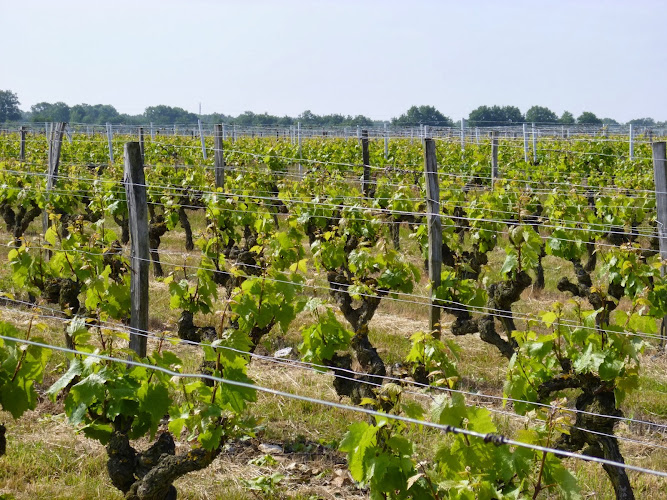 Earl Domaine des Deux Moulins