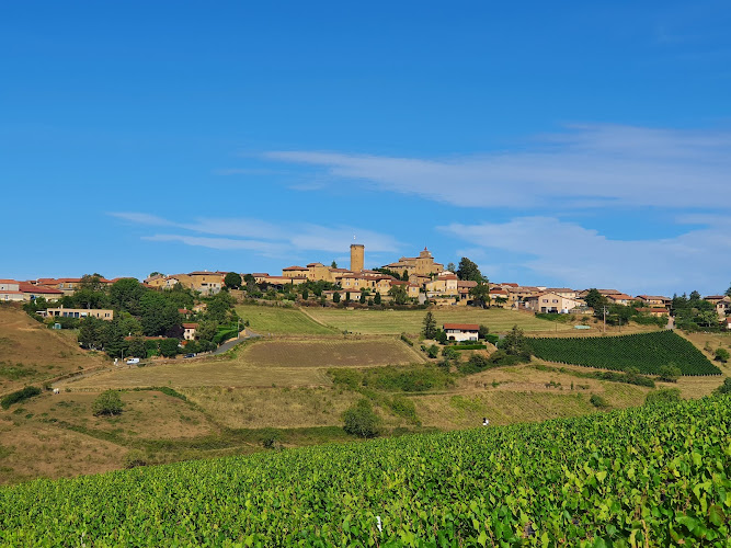 Domaine De Fond-vieille