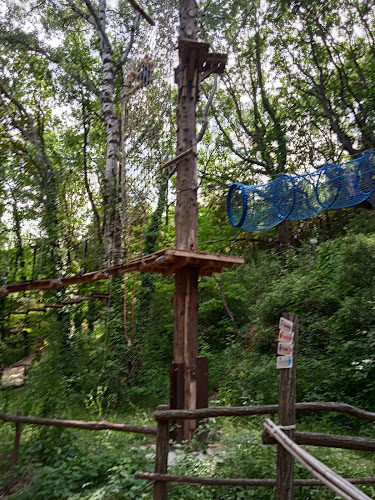 Accrobranche VERT TIGE AVENTURE