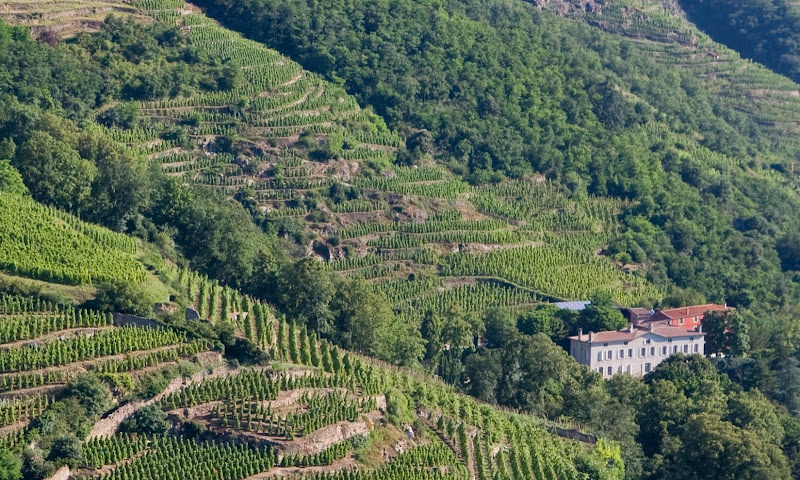 Domaine de Corps de Loup