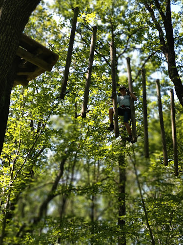 Branche Evasion