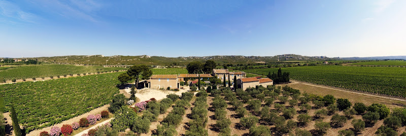 SCEA du Domaine de la Suriane