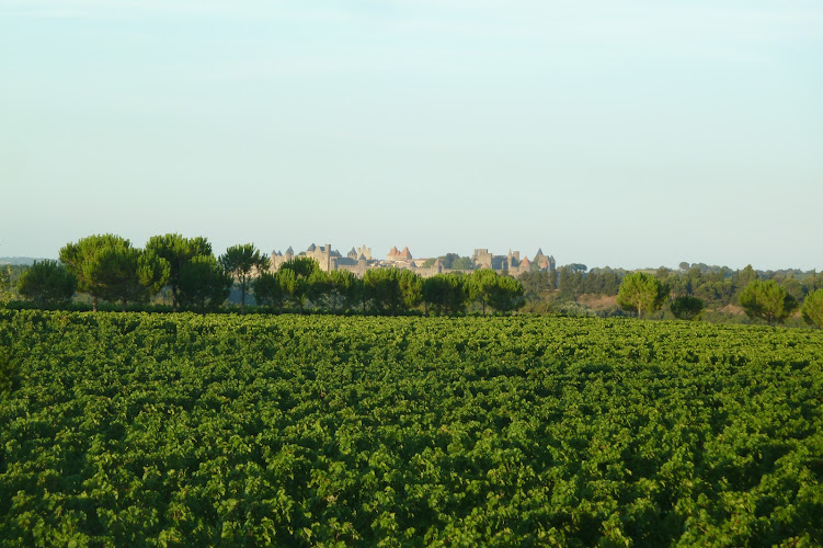 Domaine de la Sapinière