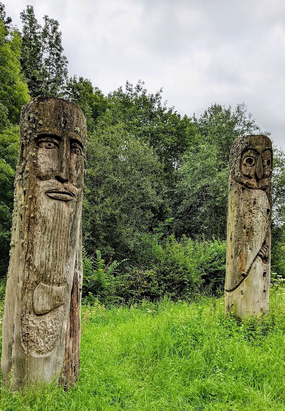 Forêt de Ferrières - Parcours des Arbres Remarquables