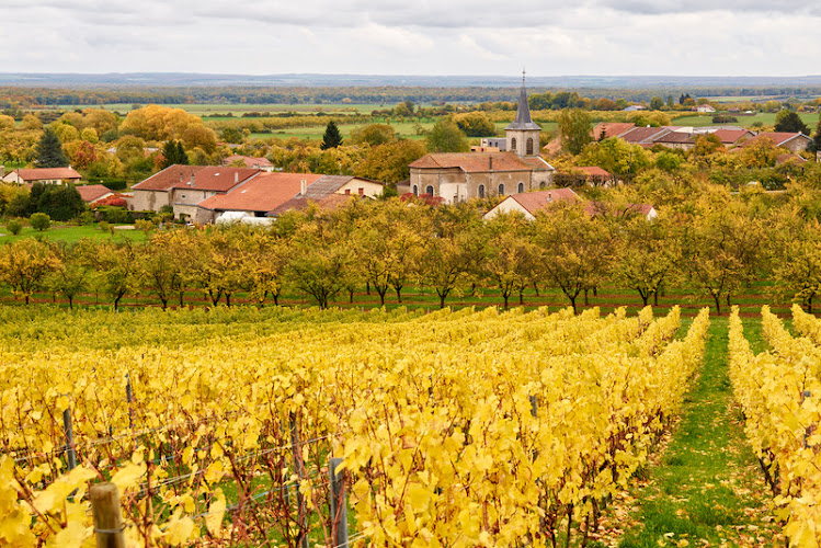 Domaine de Montgrignon