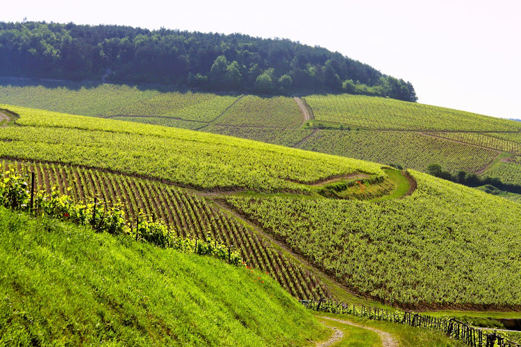 Domaine Laroche - L'Obédiencerie (Siège social)