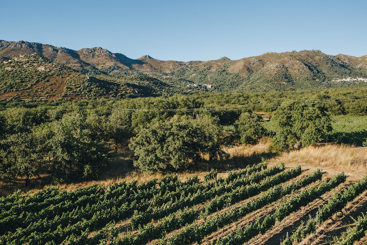 Domaine 'Alzipratu