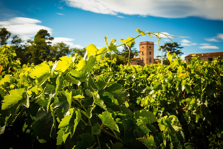 Domaine Lafage