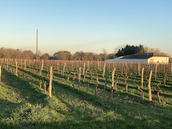Domaine Labastidum