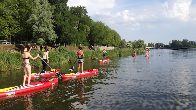 Vichy Paddle