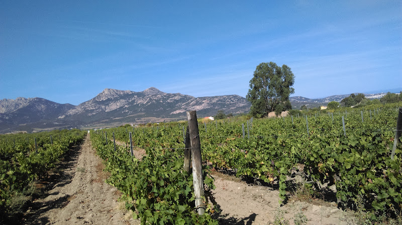 Domaine Orsini