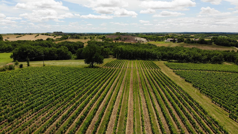 Clos Troteligotte - Visite d'un domaine viticole bio à Cahors