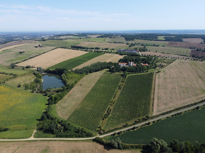 Domaine de Ribonnet