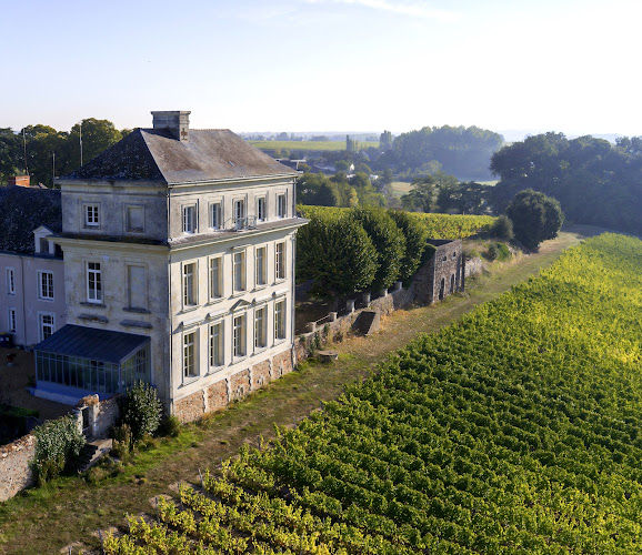 Château d'Avrillé - Vignobles Biotteau