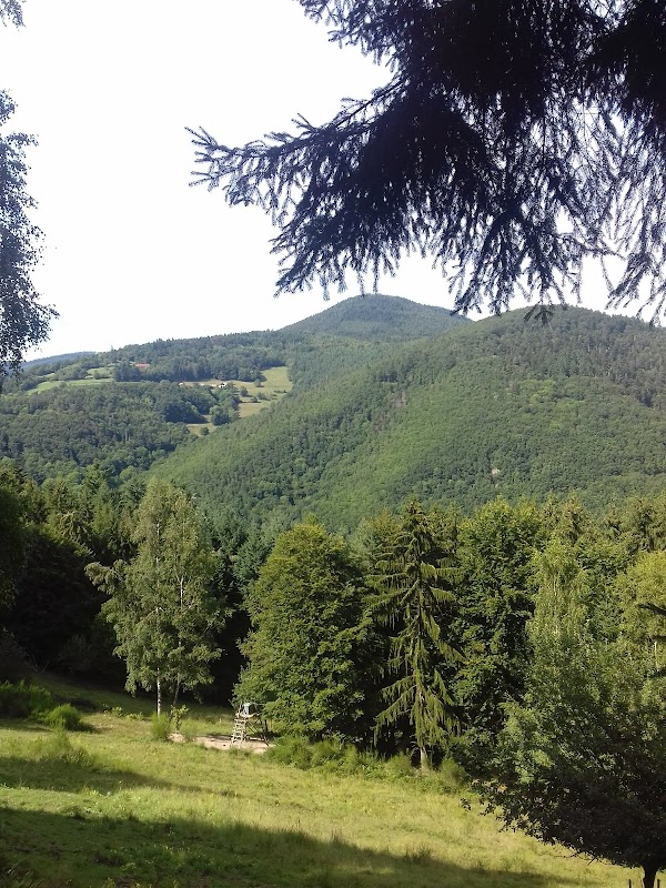 Forêt du Kaysersberg