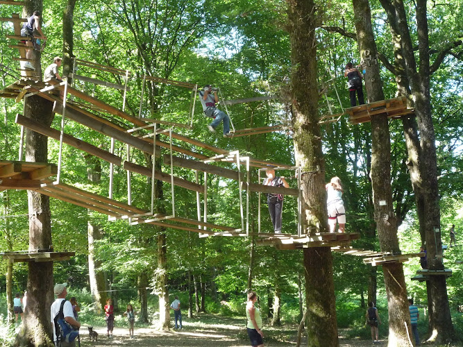 Clairvaux-les-lacs Aventure