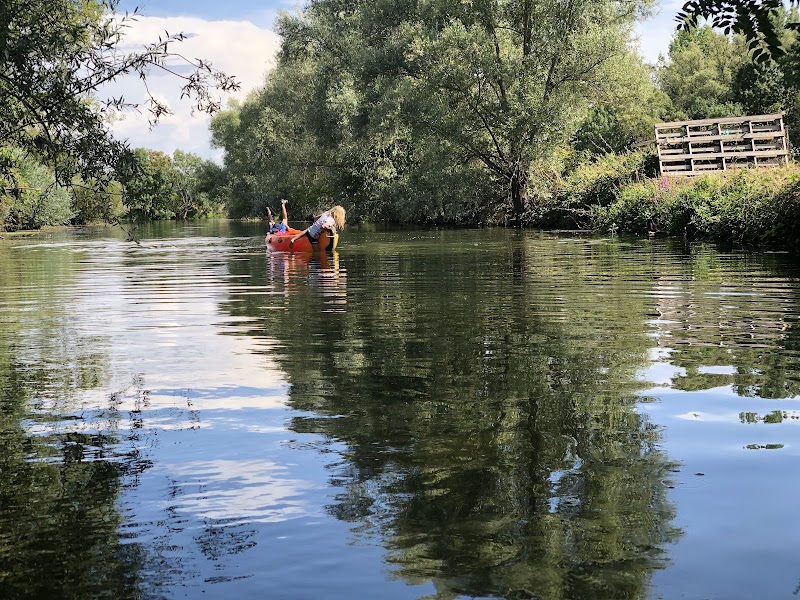 Pagaies des bords de Saône