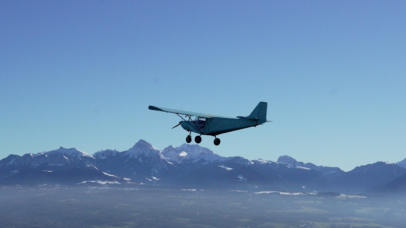 Ulm 74