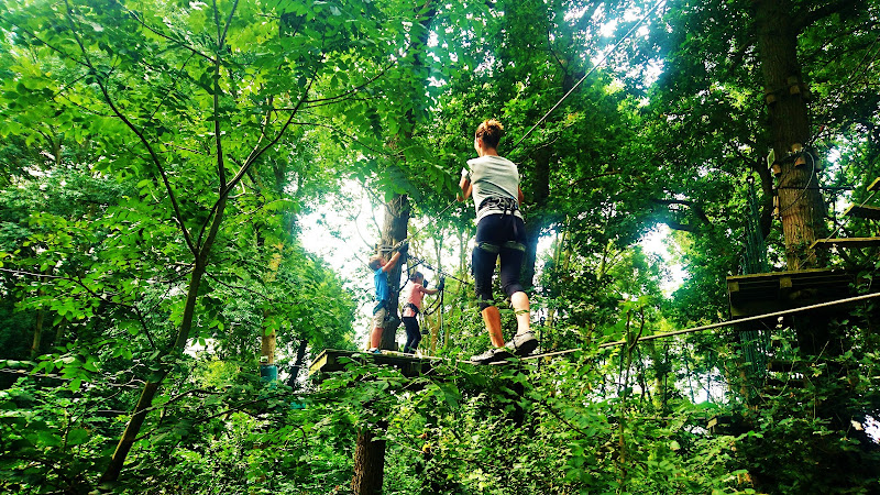 PARC AVENTURE INDIAN FOREST Accrobranche I Paintball (Lamballe-Armor - Morieux)