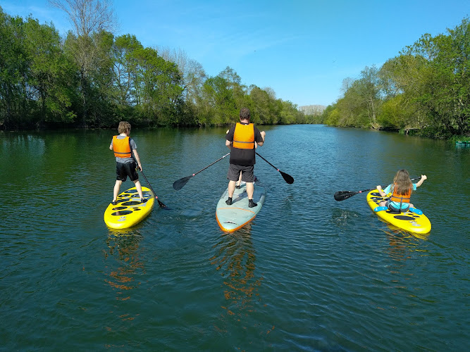 Sensation Paddle