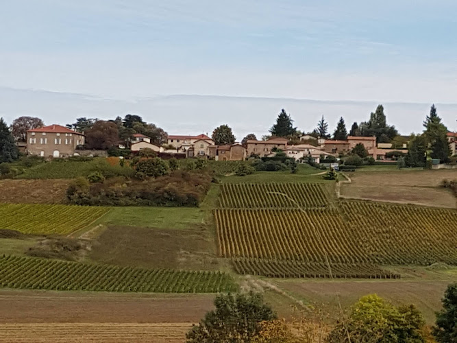 Domaine JP Riviere