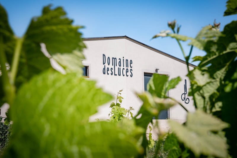 Domaine des Luces