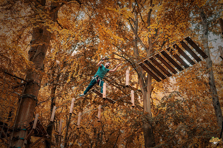 Arb'aventure - Accrobranche - Escape game et VR en extérieur