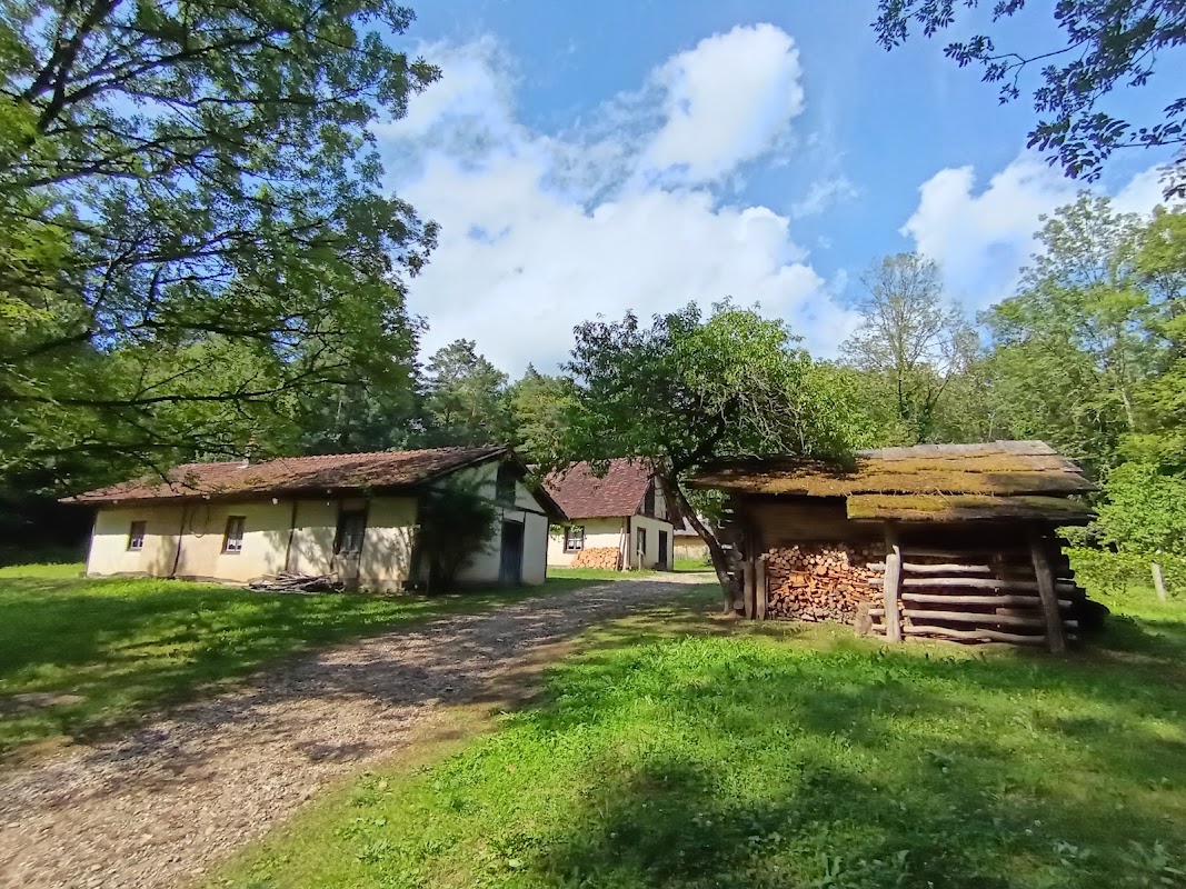 Forêt de Chaux