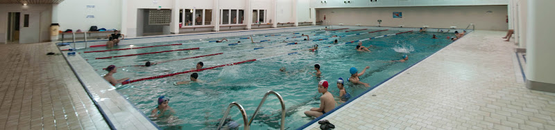 Dauphin Subaquatique Club (DSC)