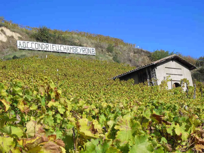 Domaine Chambeyron Côte-Rôtie