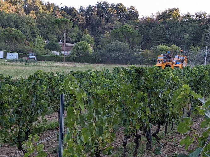 Domaine du Château Vieux (Ouvert mardi au samedi 9h à 12h et de 14h à 18h30)