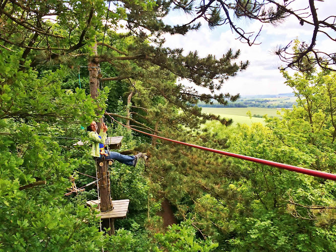 Terrains d'aventure - Accrobranche - Bungy Ejection - Laser game - Archery Game - Escape Game