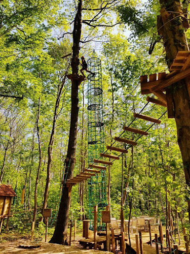 Nolimit Aventure Le Coudray-Montceaux