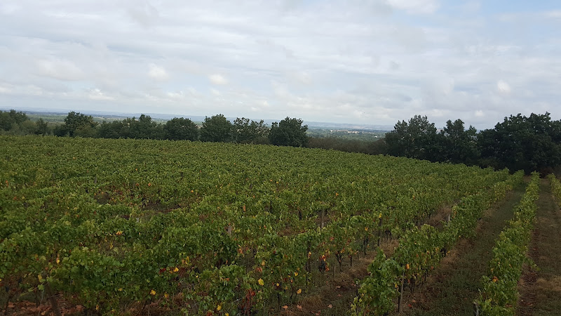 Château Flotis