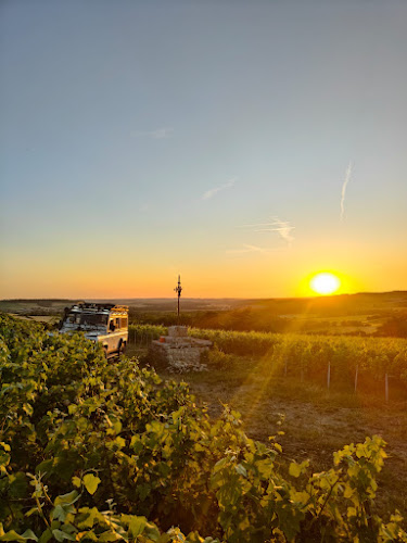 Connexion Champenoise