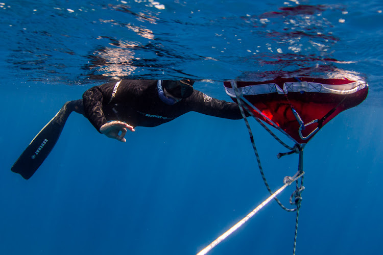 Omniblue Freedive