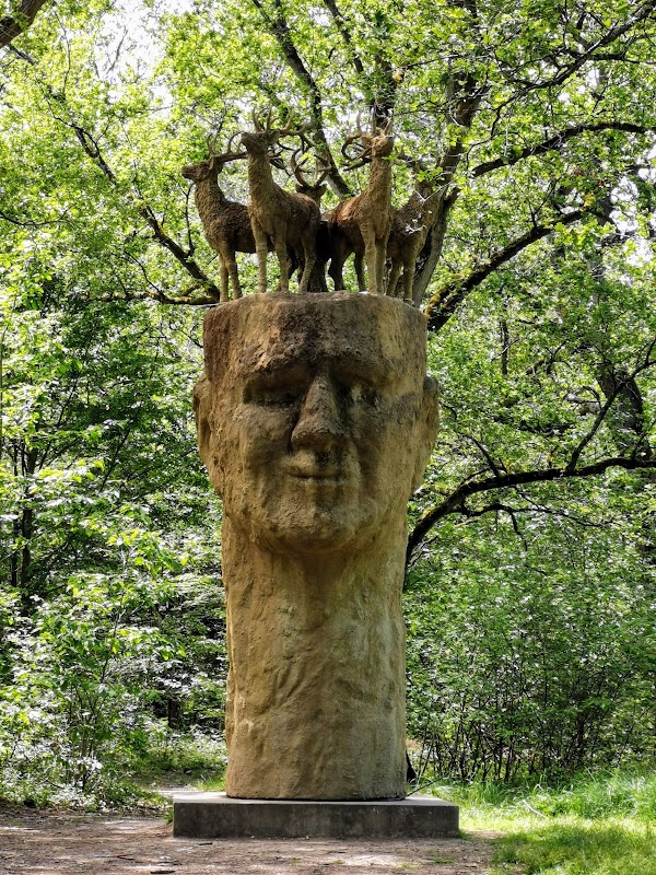 Forêt de Rougeau