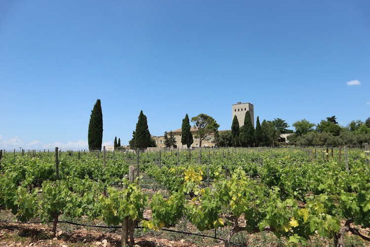 Château de la Gardine