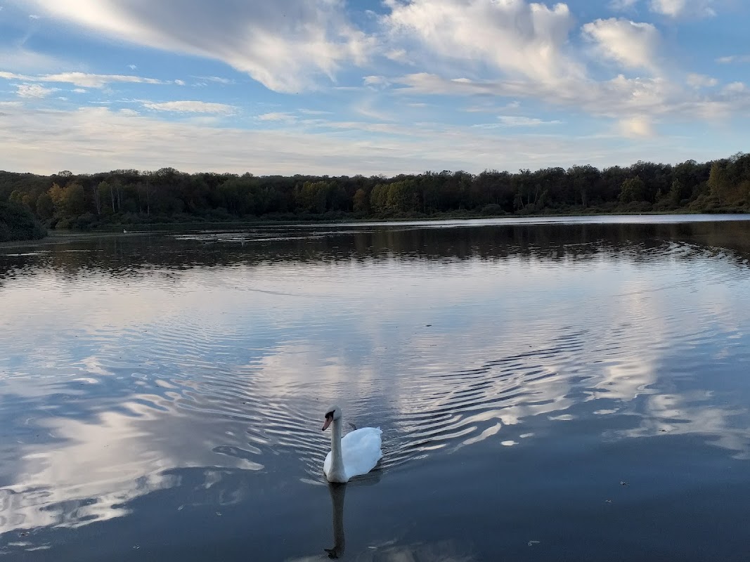 Bois de l'Étang de Brin