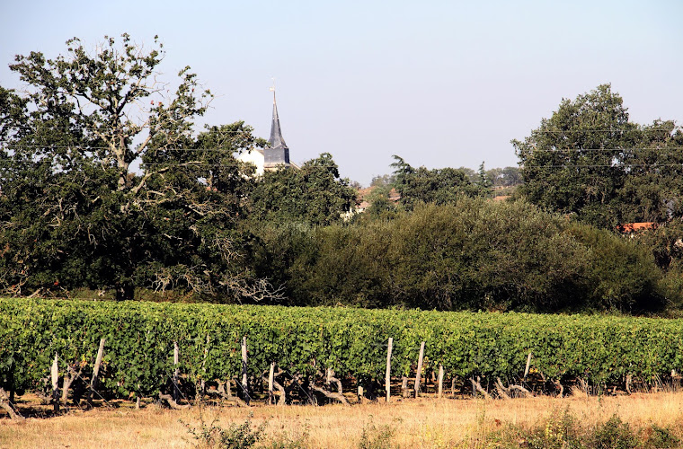 Famille Denis - Domaine Du Petit Clocher