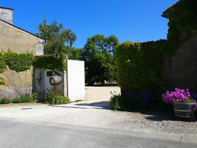 Les Frères Moine Cognac, Pineau, vins fins