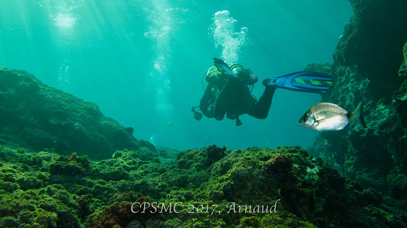 Club Plongée Sous Marine Clermontois