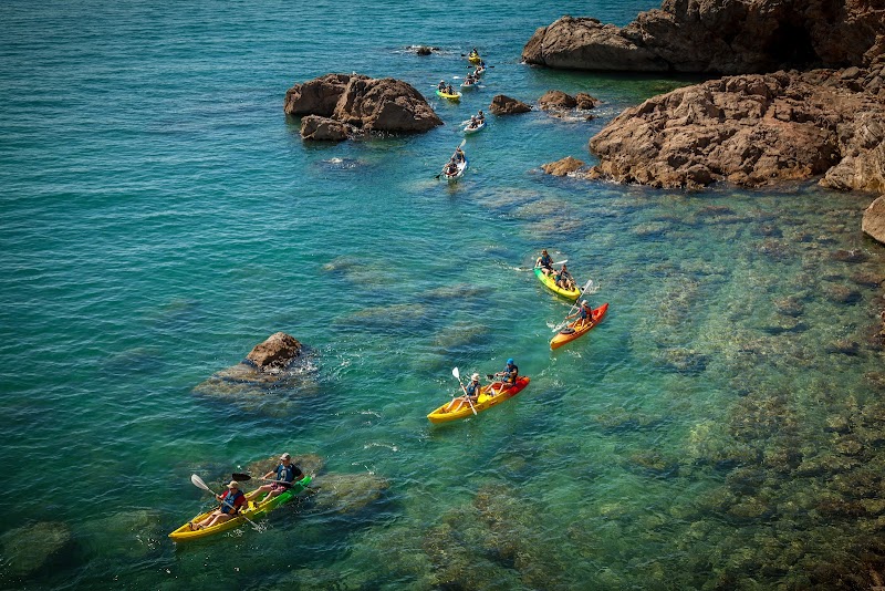 KayakMed