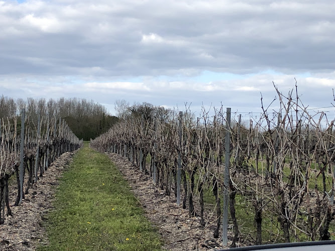 Domaine Viticole Salignac sur Charente - EARL Jean-Roux