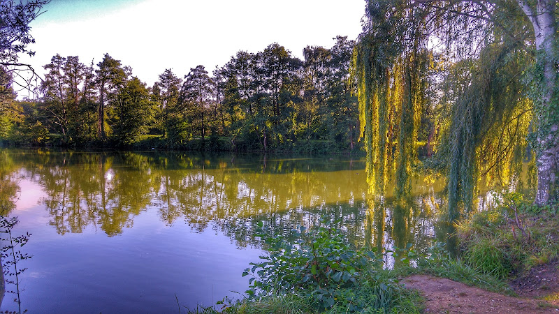 Canoë-Kayak Club du Mans