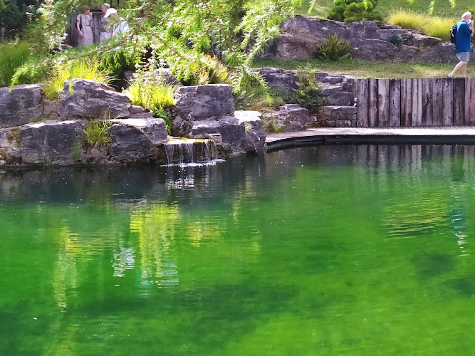 Les jardins aquatiques d'Acorus